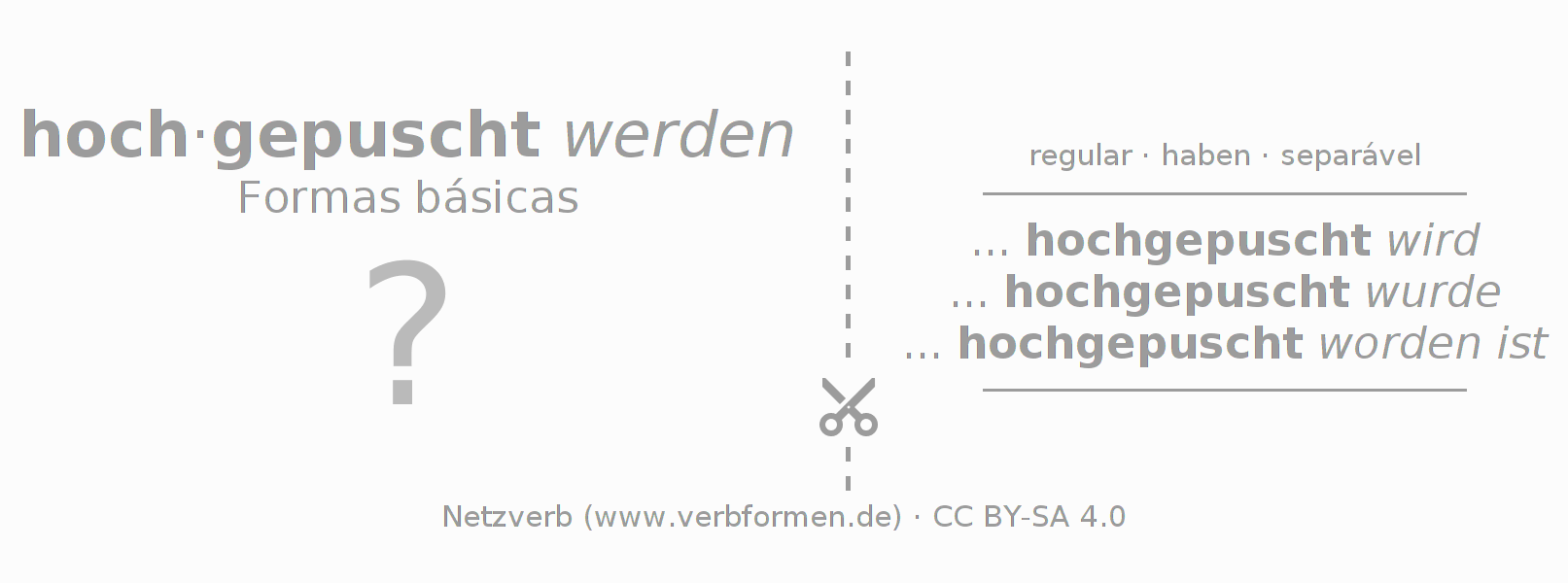 Flashcards para a conjugação do verbo hochpuschen