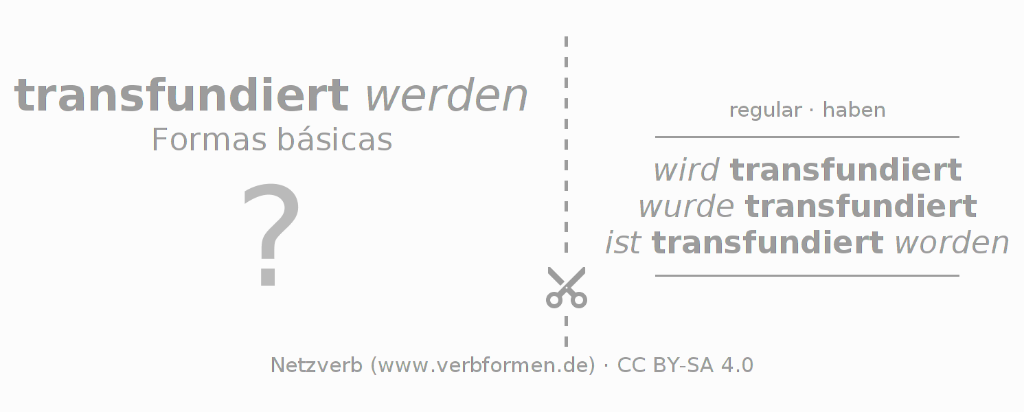 Flashcards para a conjugação do verbo transfundieren
