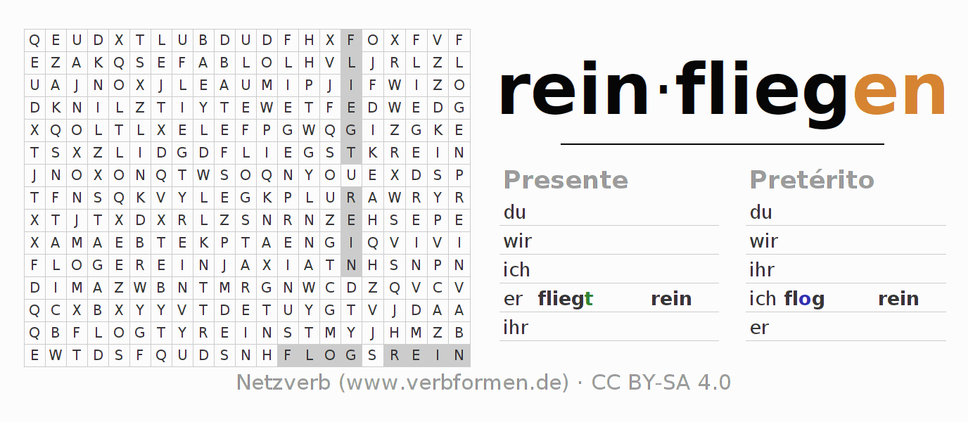 Caça-palavras com a conjugação do verbo reinfliegen