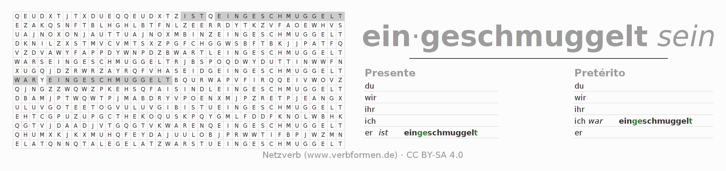 Caça-palavras com a conjugação do verbo einschmuggeln