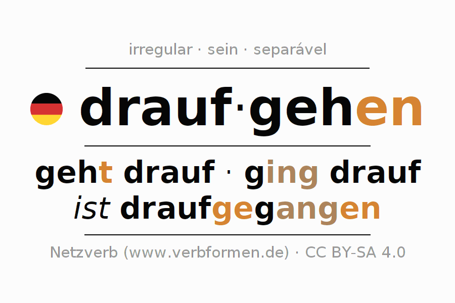 Conjugação do verbo draufgehen