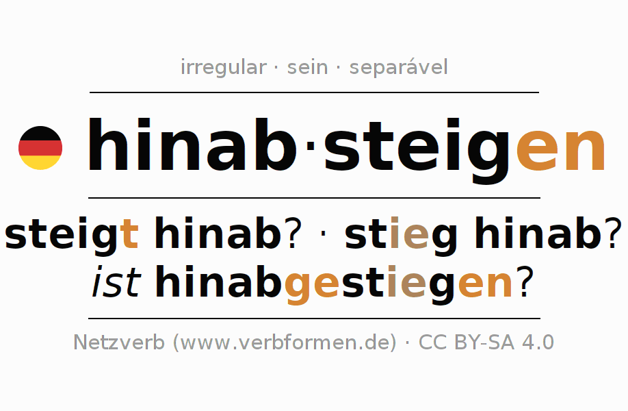 Conjugação do verbo hinabsteigen