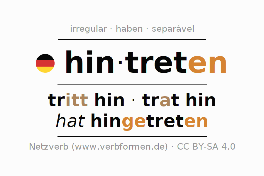 Conjugação do verbo hintreten (hat)
