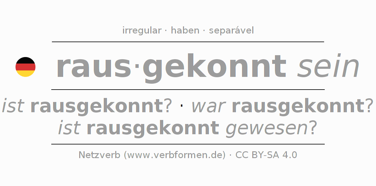 Conjugação do verbo rauskönnen