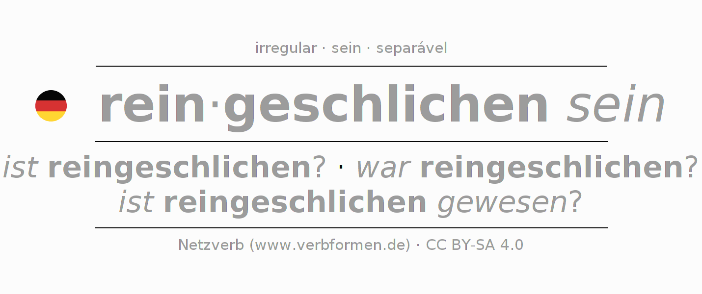 Conjugação do verbo reinschleichen