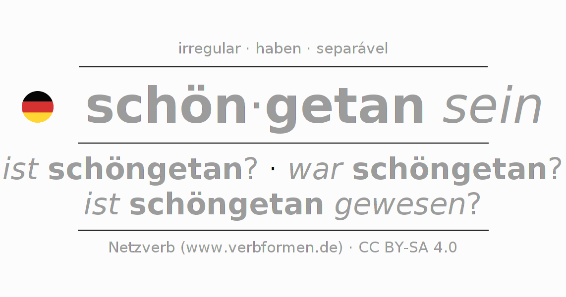 Conjugação do verbo schöntun