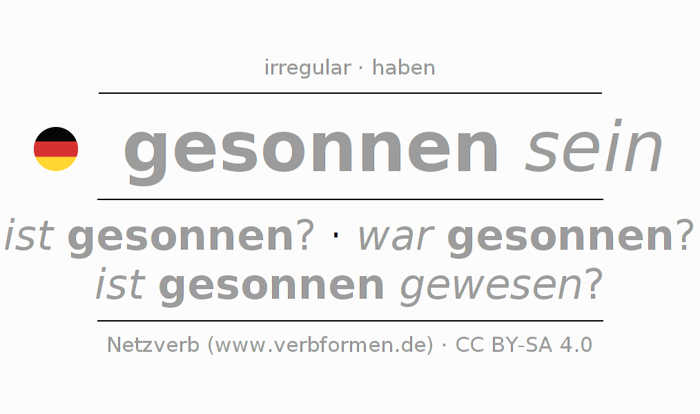 Conjugação do verbo sinnen