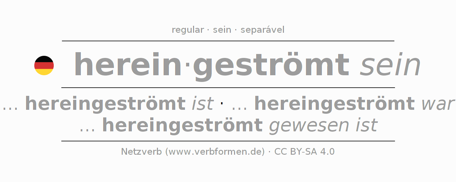 Conjugação do verbo hereinströmen